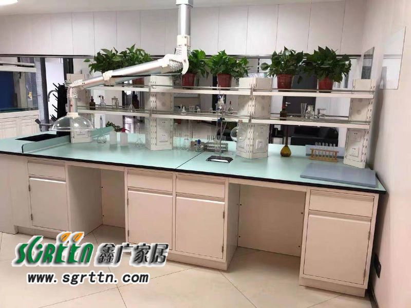 化驗室pp操作臺，實驗臺鋼木化學試驗桌，工作臺學校通風柜，全鋼試驗臺