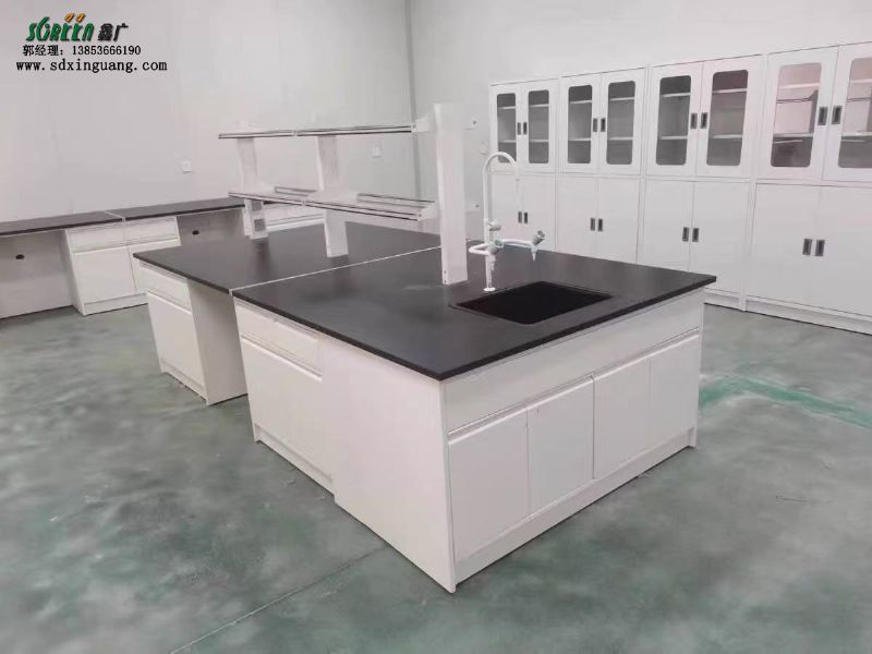 山東全鋼試驗(yàn)臺(tái)、實(shí)驗(yàn)室家具、實(shí)驗(yàn)臺(tái)廠(chǎng)家